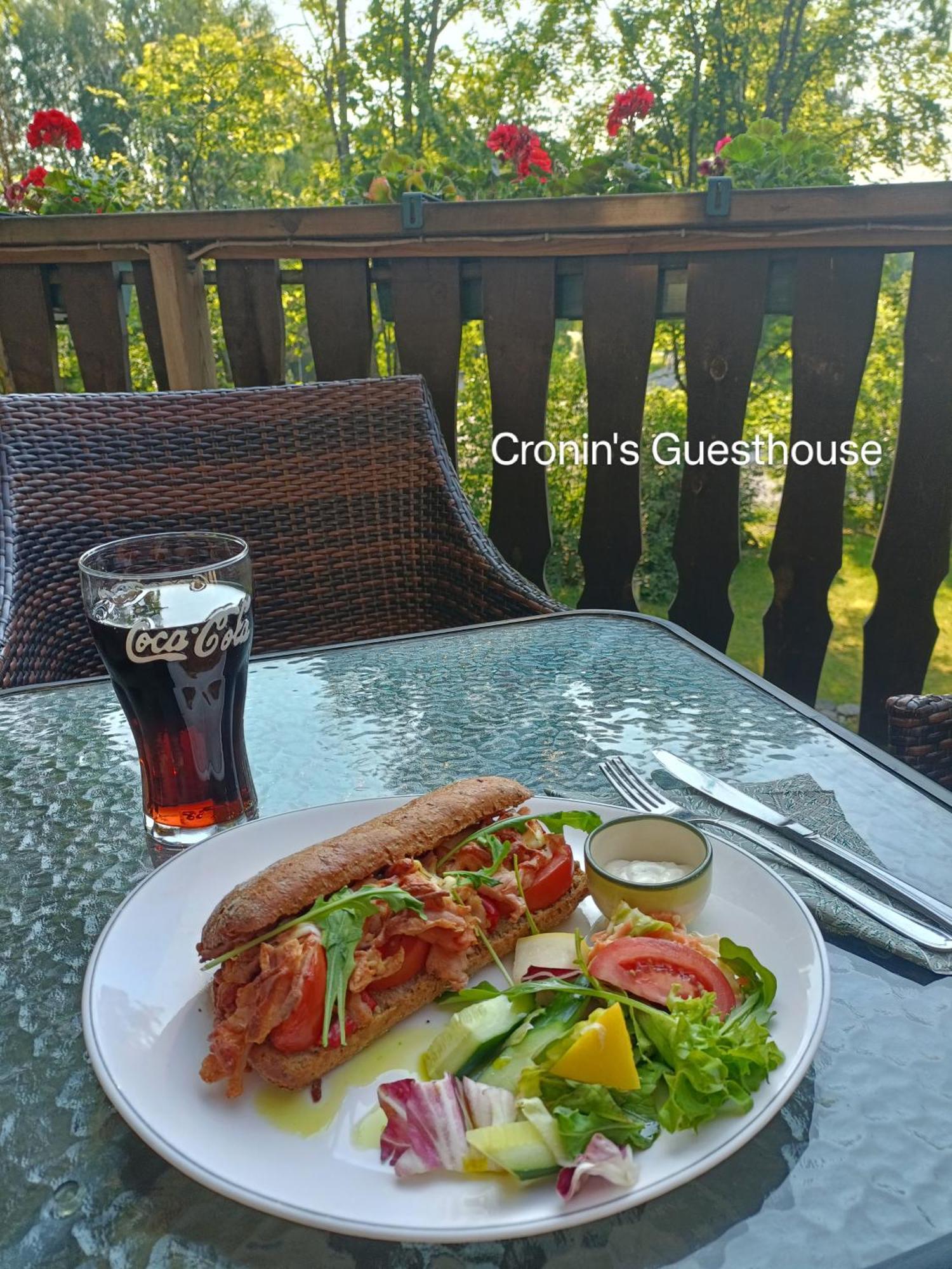Cronin'S Guesthouse Bed & Breakfast Heinola Ngoại thất bức ảnh
